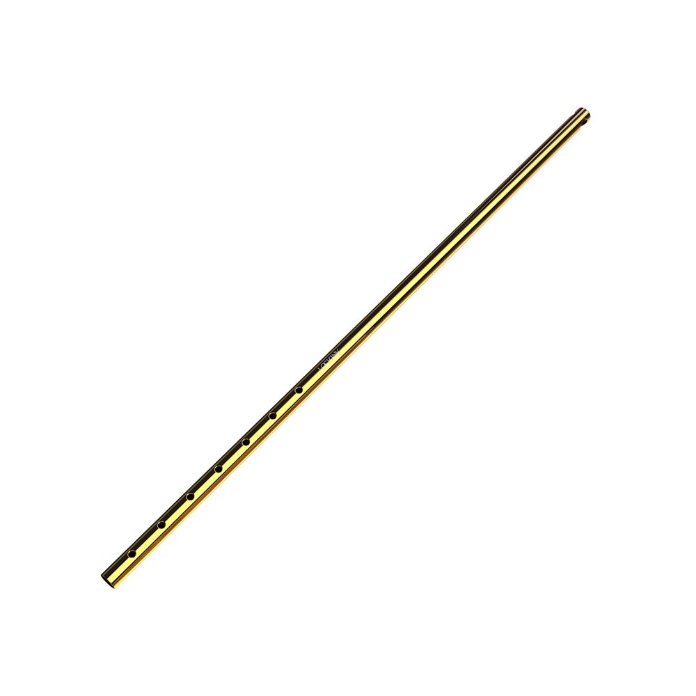 LOCKINK - Verstelbare Anaalhaak - goud