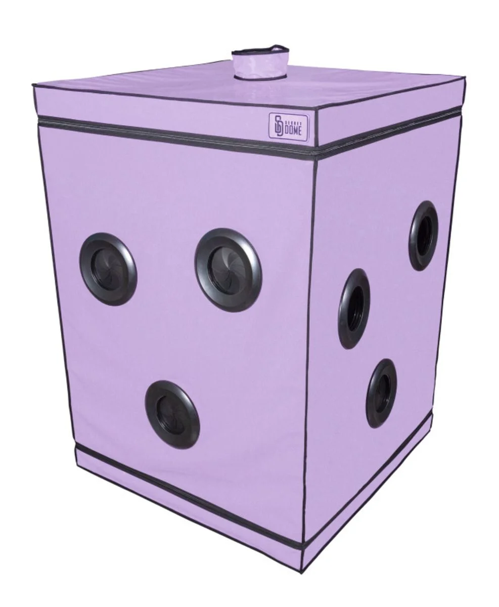 Secretdome – SCANDALE – Paars